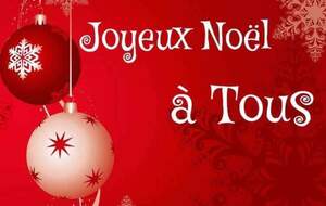 5fdf3d48de8b3_joyeuxnoel.jpg
